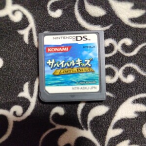 サバイバルキッズ ロストインブルー Lost in BLUE ニンテンドー DS NINTENDO DS