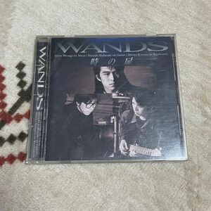 wands CD アルバム　時の扉