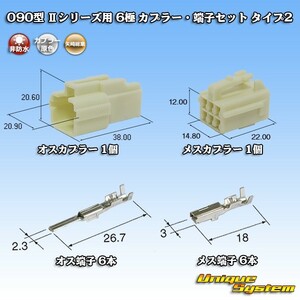 矢崎総業 090型II 6極 カプラー・端子セット タイプ2