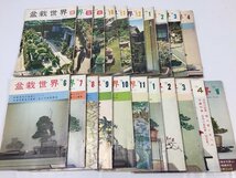 盆栽世界　　樹石社　２１冊まとめて　　詳細な年式は下記にて　　長期保管品　　TH11.091_画像1