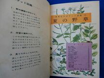 1▲ 　夏の野草　理科教育研究委員会 編　/ 保育社のポケット図鑑 昭和28年,初版,裸本_画像2