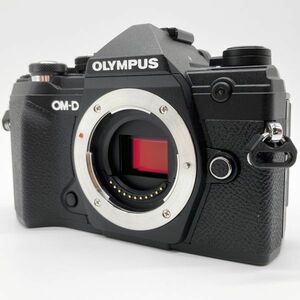 ■元箱付きでほぼ新品■ OLYMPUS OM-D E-M5 MarkIII ボディー ブラック