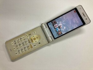 AE019 docomo P-01E ホワイト