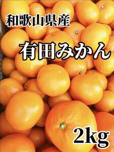 ☆17 格安 和歌山県産 有田みかん 2kg 即日発送 産地直送 S〜M サイズ混合 早生みかん 甘い 美味しい 小粒