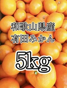 ☆195 格安 和歌山県産 有田みかん 5kg 即日発送 産地直送 S〜M 混合 早生みかん 甘い 美味しい 小粒 みかん 早生