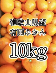 ☆228 格安 和歌山県産 有田みかん 10kg 即日発送 産地直送 Mサイズ 採れたて ピカピカ 早生みかん 甘い 美味しい みかん 早生