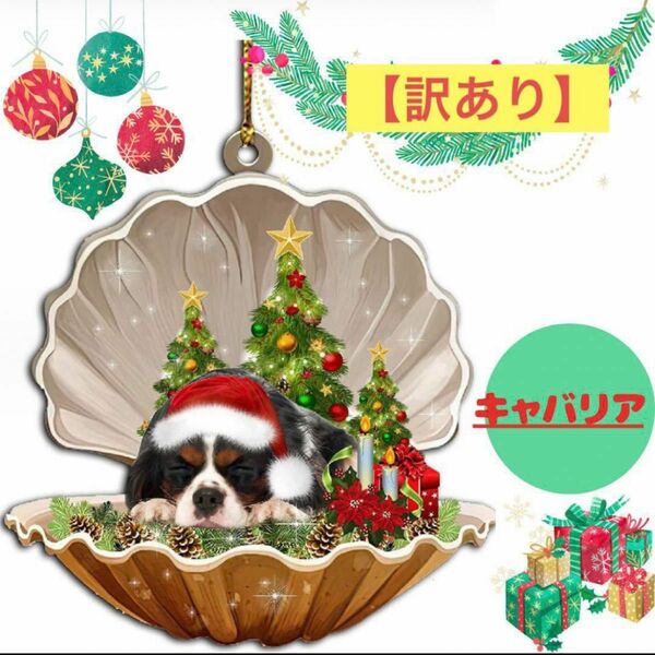 【訳あり】クリスマスオーナメント貝　キャバリア　かわいい　犬　 クリスマス雑貨