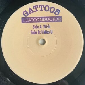 BEATCONDUCTOR/GATT005