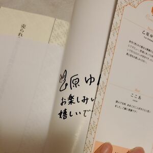 売られた聖女は異郷の王の愛を得る （ＮｉμＮＯＶＥＬＳ） 乙原ゆん／著