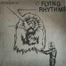 [ 12 / レコード ] Flying Rhythms / Specialoose Fly ( House / Dub / Experimental ) Zi-Koo トランシー トライバル ダブ_画像1