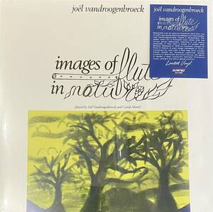 [ LP / レコード ] Joel Vandroogenbroeck / Images Of Flute In Nature ( Ambient / New Age ) Bonfire Records アンビエント 