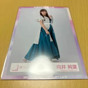 櫻坂46 向井純葉【 2023年 夏フェス衣装 】ランダム生写真（ 全身 ） 計1点【 送料無料 】