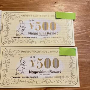 なばなの里　20000円分　金券　ナガシマスパーランド　ホテル花水木　券 