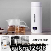 電気ケトル 小型 携帯用 電気ポット500ml 110V 旅行用 304ステンレス製 自動OFF 旅行カップ 急速沸かし 空焚き防止機能_画像2