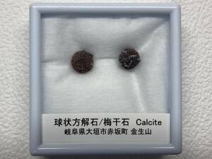 国産鉱物　球状方解石　梅干石　岐阜　金生山　Cal_03