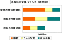 キョーリン　咲ひかり(浮上) 朱雀S 250g + 増体用S 250g 計売り　メール便　極上エサ　錦鯉　金魚　メダカ　熱帯魚_画像8