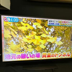 50インチ液晶4Kテレビ SHARP 4T-C50CN1 2020年製造 HDR 倍速駆動 WIFI シャープ AQUOS