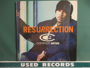 Common Sense ： Resurrection '95 12'' (( Extra P. Remix / Large Professor Remix / 落札5点で送料当方負担