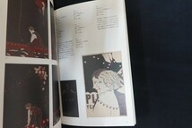 xl20/図録■ボストン美術館所蔵 ローダー・コレクション 美しき日本の絵はがき展 2004-2005　日本経済新聞社_画像4