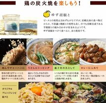 塩味 レトルト おかず おつまみ 宮崎名物 焼き鳥 鶏の炭火焼 100g×10パック 鳥の炭火焼 炭火焼 鳥の炭火焼き 焼鳥 炭火_画像9