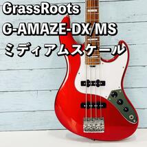 GrassRoots G-AMAZE-DX/MS ミディアムスケール ベース グラスルーツ　アメイズ_画像1
