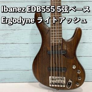 Ibanez EDB555 5弦ベース Ergodyne/アクティブ ブビンガ アイバニーズ