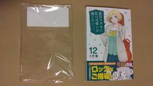 ※再※ 1読品　黒岩メダカに私の可愛いが通じない　最新刊　12巻【23年11月新刊 初版 帯付 久世蘭 講談社コミックス】