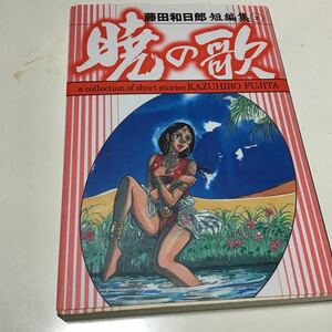 暁の歌 （小学館文庫　ふＤ－２２　藤田和日郎短編集　２） 藤田和日郎／著