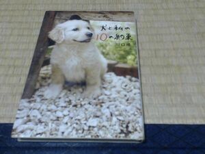 ISBN: 9784163261706 Title: 犬とわたしの10の約束 : 2007-07 ページ数: 209 著者: 川口晴