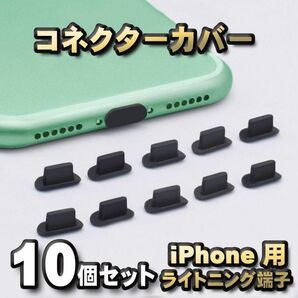iPhone対応 ライトニング端子用 コネクター カバー 端子カバー 10個セット
