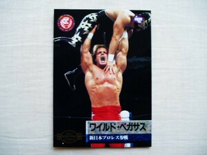 ワイルドペガサス ペガサスキッド クリスベノワ■BBM1995 新日本プロレス WWE WCW RE