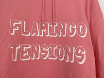 Celine FLAMINGO TENSIONS オーバーサイズ パーカー Mサイズ フーディ スウェットシャツ エディスリマン セリーヌ ピンク_画像4