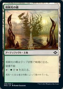 MTG　【Foil】 荊棘光の橋　在庫日1枚まで　ホイル　MH2　★他多数出品中