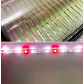 愛知県日進市（引取り限定）ホシザキ 恒温高湿ネタケース FNC-180BL-R 幅1800 右ユニット 2010年製 LED照明 領収書 の画像6