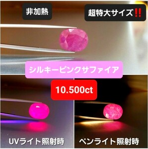 『 10.500ct もの超特大サイズ！』激レアな非加熱！シルキーピンクのサファイア！