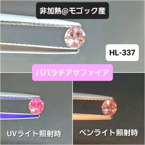 極上品！高価なモゴック産！稀少なパパラチア/サファイア！HL-337