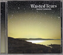 送料無料 SACD 3枚組 浜田省吾 「Sand Castle」 「Wasted Tears」 「初秋」 1回再生のみ_画像5