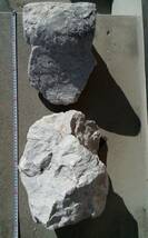 【特大・希少】　石灰岩　約25kg前後　アフリカンシクリッド等に　A_画像1
