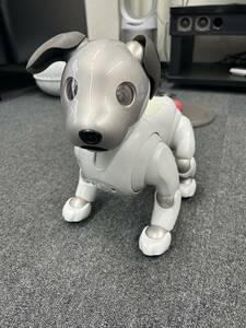 B001　SONY　AIBO ESR-1000　バーチャルペット　犬型　アイボ　動作品　鳴き声鳴らない？　プロダクトキー有り