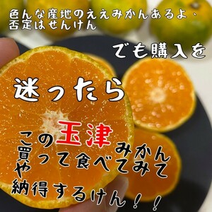 送料込！ゴリ推し！！愛媛県玉津産早生みかん家庭用極小13.5㎏(13㎏+保証量500㌘)①