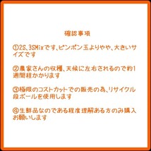 ESC愛媛県中島産みかんおつとめ品9.5㎏fm①_画像8