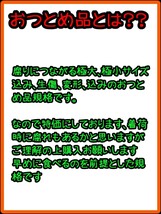 現地中島直送便！！愛媛県中島産みかんおつとめ品11㎏(10㎏＋保証量1㎏)④_画像2