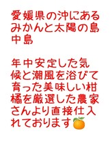 現地中島直送便！！愛媛県中島産みかんおつとめ品11㎏(10㎏＋保証量1㎏)④_画像4