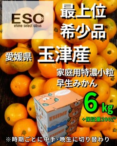 ESC当店厳選愛媛県玉津産早生みかん最上位家庭用小粒6㎏(3㎏+保証量200g)×2箱④