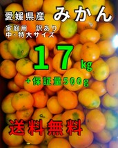 os愛媛県産みかん家庭用極小粒17.5㎏(17㎏+保証量500㌘)①_画像1