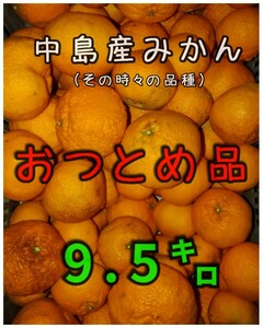 ESC愛媛県中島産みかんおつとめ品9.5㎏os①