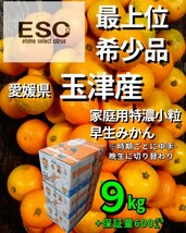 fm当店厳選愛媛県玉津産早生みかん最上位家庭用極小9㎏(3㎏+保証量200g)×3箱②_画像1