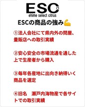 fm当店厳選愛媛県玉津産早生みかん最上位家庭用極小9㎏(3㎏+保証量200g)×3箱②_画像5