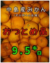 ESC愛媛県中島産みかんおつとめ品9.5㎏fm⑤_画像1