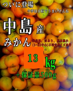 送料無料！！愛媛県中島産みかん家庭用、訳あり、基本極小(3～4S中心)不特定サイズ条件　13.5㎏(17㎏+保証量500㌘)①